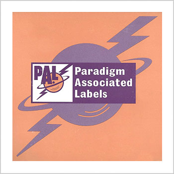 paradigm logo